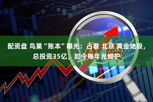 配资盘 鸟巢“账本”曝光：占着 北京 黄金地段，总投资35亿，如今每年光维护