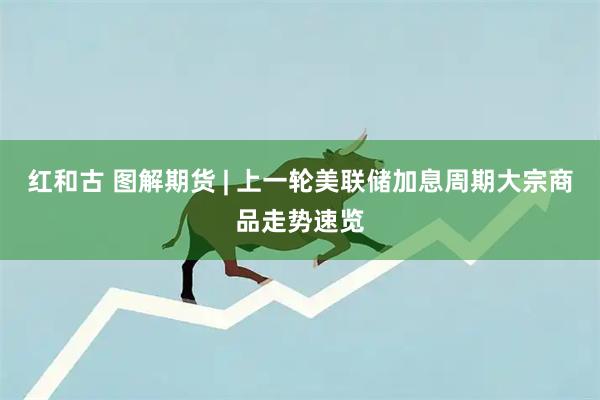 红和古 图解期货 | 上一轮美联储加息周期大宗商品走势速览